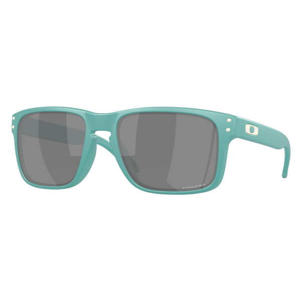 Oakley Holbrook sunglasses